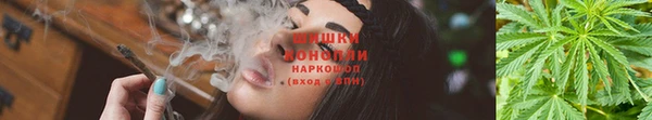 гашик Покровск