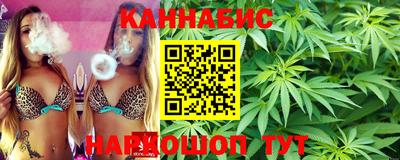 spice Кинель