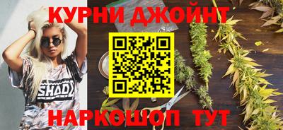 spice Кинель
