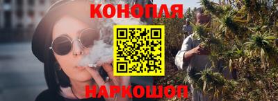 spice Кинель
