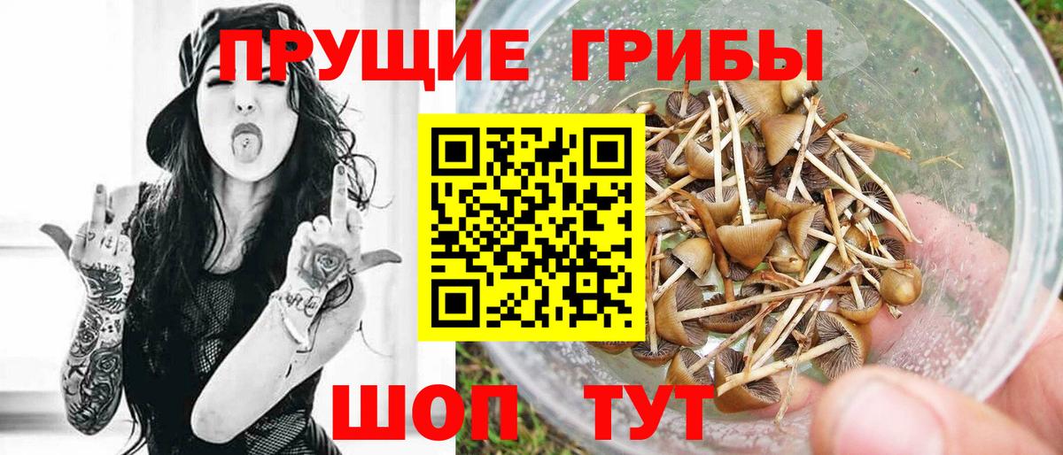 Галлюциногенные грибы мицелий Сегежа
