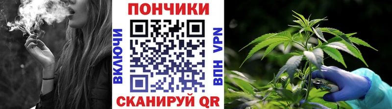 Шишки марихуана сатива Сегежа